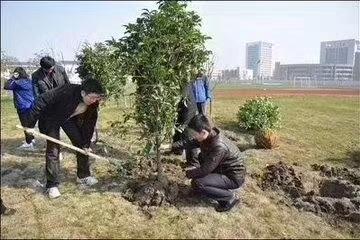 大家热情参与植树节活动 大家热情参与植树节活动